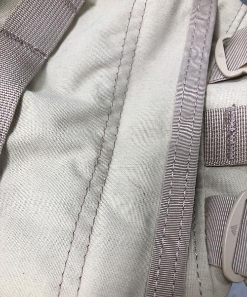 GREGORY（グレゴリー）GREGORY (グレゴリー) デイパック ダブルサイドポケット　リュック ベージュの古着・服飾アイテム