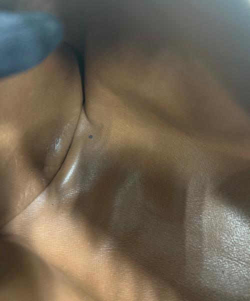 LOUIS VUITTON（ルイ ヴィトン）LOUIS VUITTON (ルイ ヴィトン) モノグラムパピヨンハンドバッグ ブラウンの古着・服飾アイテム