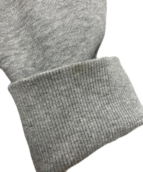 THE NORTH FACE（ザ ノース フェイス）THE NORTH FACE (ザ ノース フェイス) リアビュー フルジップ スウェットパーカー グレー サイズ:Lの古着・服飾アイテム