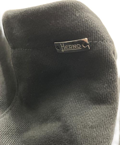 HERNO（ヘルノ）HERNO (ヘルノ) プルオーバーパーカー ブラック サイズ:50の古着・服飾アイテム