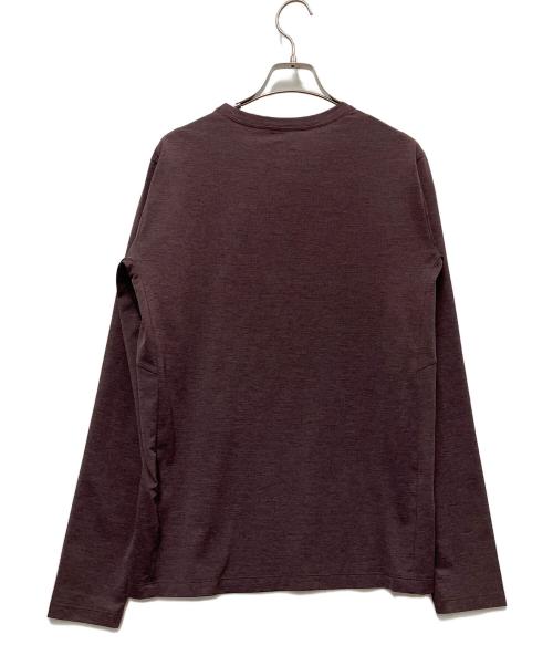 ARC'TERYX（アークテリクス）ARC'TERYX (アークテリクス) 長袖カットソー ブラウン サイズ:Sの古着・服飾アイテム