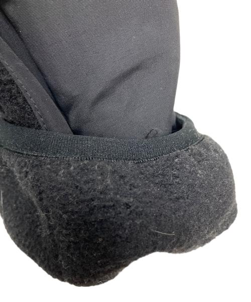 THE NORTH FACE（ザ ノース フェイス）THE NORTH FACE (ザ ノース フェイス) DENALI HOODIE ブラック サイズ:Lの古着・服飾アイテム