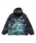 THE NORTH FACE（ザ ノース フェイス）の古着「ダウンジャケット」｜ブラック×ブルー