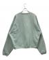stussy (ステューシー) Big Crackle Sport CREW スウェット グリーン サイズ:XL：7000円