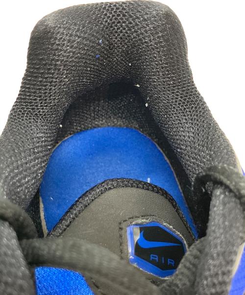 NIKE（ナイキ）NIKE (ナイキ) Air Max Plus ブルー×ブラック サイズ:27.5の古着・服飾アイテム