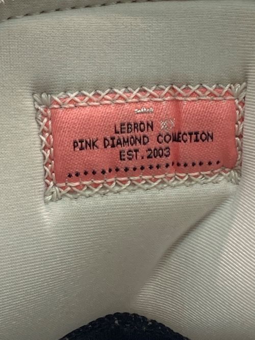 NIKE（ナイキ）NIKE (ナイキ) LeBron 20 ホワイト サイズ:CM26.5㎝の古着・服飾アイテム