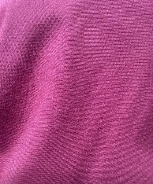 THE NORTH FACE（ザ ノース フェイス）THE NORTH FACE (ザ ノース フェイス) SUMMIT MOUNTAIN JACKET レッド サイズ:Lの古着・服飾アイテム