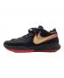 NIKE (ナイキ) NIKE LeBron 20 スニーカー ブラック×レッド サイズ:US8.5：11000円