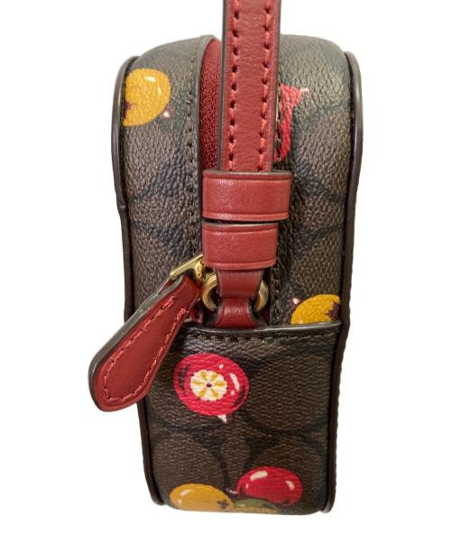 COACH（コーチ）COACH (コーチ) ミニカメラバッグ ブラウンの古着・服飾アイテム