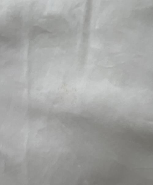 BURBERRY（バーバリー）BURBERRY (バーバリー) 長袖シャツ ホワイト サイズ:Sの古着・服飾アイテム