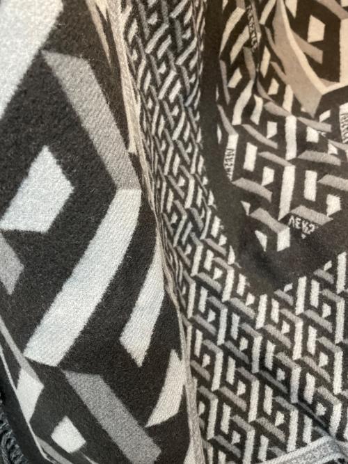 VERSACE（ヴェルサーチェ）VERSACE (ヴェルサーチェ) ブランケットの古着・服飾アイテム