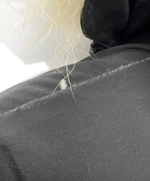 CANADA GOOSE（カナダグース）CANADA GOOSE (カナダグース) ダウンジャケット ブラック サイズ:Ｍの古着・服飾アイテム