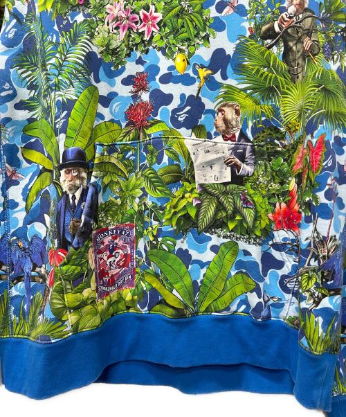 A BATHING APE（ア ベイシング エイプ）A BATHING APE (ア ベイシング エイプ) Monkey 47 プルオーバーパーカー ブルー×グリーン サイズ:Ｌの古着・服飾アイテム