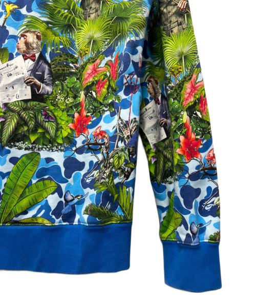 A BATHING APE（ア ベイシング エイプ）A BATHING APE (ア ベイシング エイプ) Monkey 47 プルオーバーパーカー ブルー×グリーン サイズ:Ｌの古着・服飾アイテム