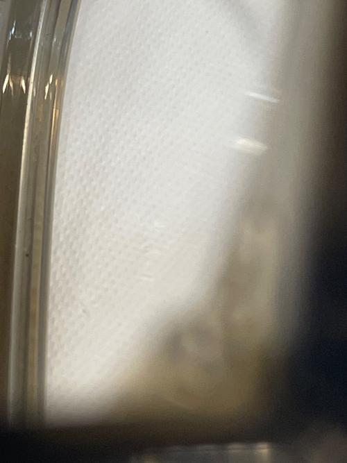 RAY-BAN（レイバン）RAY-BAN (レイバン) 伊達眼鏡 グリーンの古着・服飾アイテム