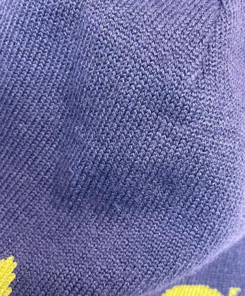 ARC'TERYX（アークテリクス）ARC'TERYX (アークテリクス) ニット帽 ブラウンの古着・服飾アイテム