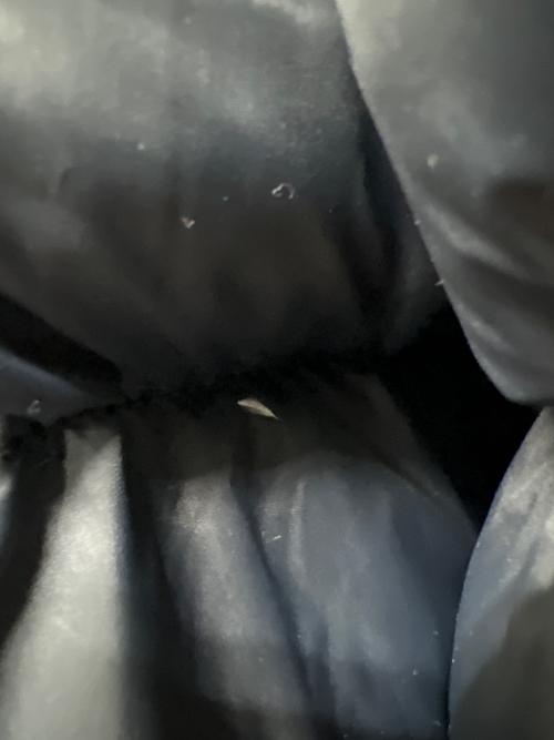 THE NORTH FACE（ザ ノース フェイス）THE NORTH FACE (ザ ノース フェイス) ダウンジャケット グリーン サイズ:Ｌの古着・服飾アイテム