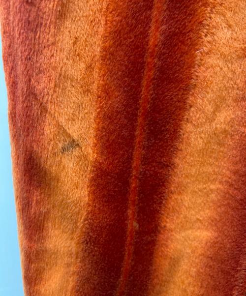 PURKY（パーキー）PURKY (パーキー) セットアップジャージ オレンジ サイズ:不明の古着・服飾アイテム