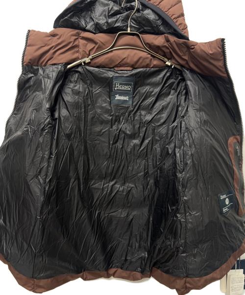 HERNO（ヘルノ）HERNO (ヘルノ) ダウンコート ブラウン サイズ:４０の古着・服飾アイテム