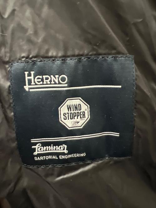 HERNO（ヘルノ）HERNO (ヘルノ) ダウンコート ブラウン サイズ:４０の古着・服飾アイテム