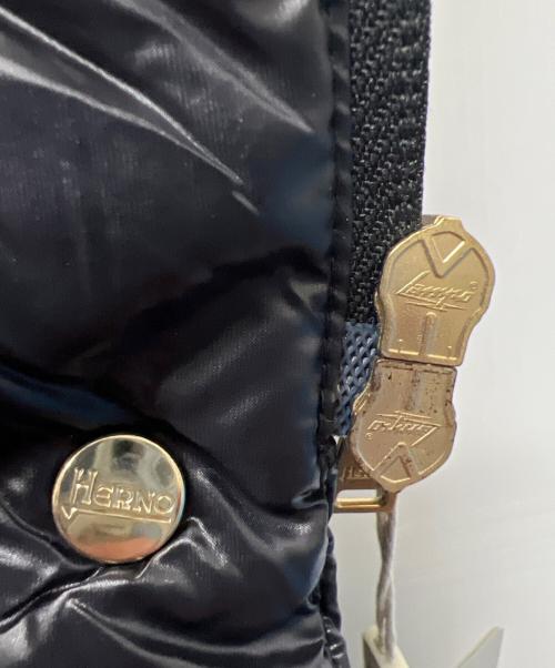 HERNO（ヘルノ）HERNO (ヘルノ) ダウンコート ブラック サイズ:４０の古着・服飾アイテム
