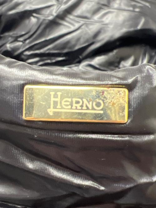 HERNO（ヘルノ）HERNO (ヘルノ) ダウンコート ブラック サイズ:４０の古着・服飾アイテム