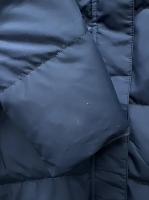 L.L.Bean（エルエルビーン）L.L.Bean (エルエルビーン) ダウンコート ブルー サイズ:Ｌの古着・服飾アイテム