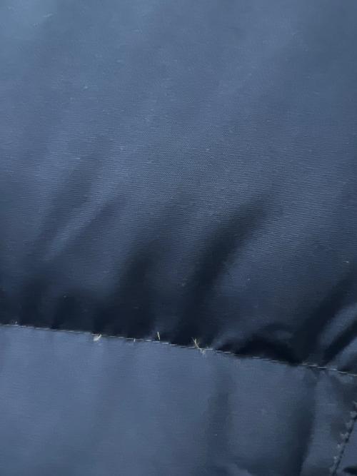 L.L.Bean（エルエルビーン）L.L.Bean (エルエルビーン) ダウンコート ブルー サイズ:Ｌの古着・服飾アイテム