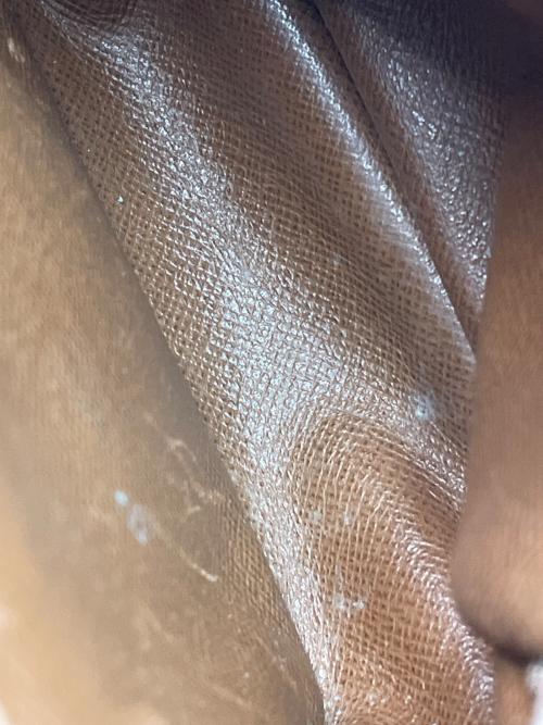 LOUIS VUITTON（ルイ ヴィトン）LOUIS VUITTON (ルイ ヴィトン) ミニアマゾン ブラウンの古着・服飾アイテム