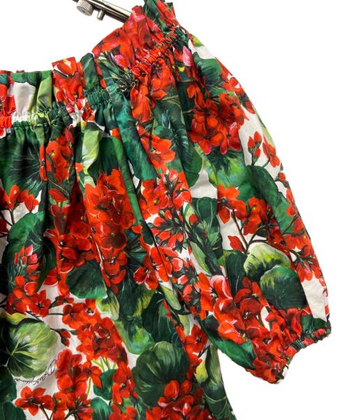 DOLCE & GABBANA（ドルチェ＆ガッバーナ）DOLCE & GABBANA (ドルチェ＆ガッバーナ) 半袖ブラウス レッド×グリーン サイズ:３８の古着・服飾アイテム