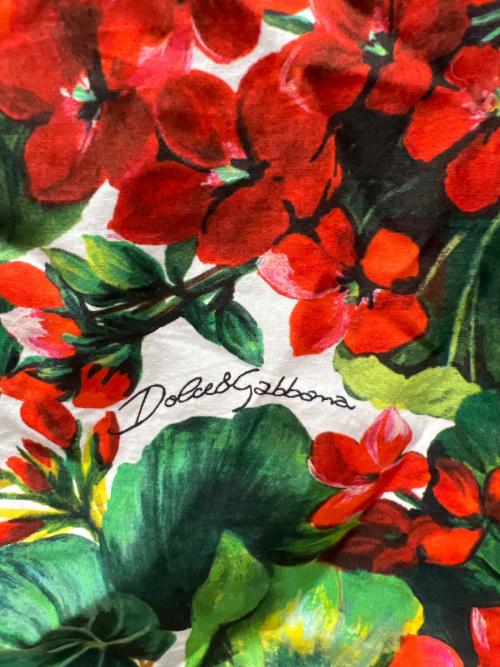 DOLCE & GABBANA（ドルチェ＆ガッバーナ）DOLCE & GABBANA (ドルチェ＆ガッバーナ) 半袖ブラウス レッド×グリーン サイズ:３８の古着・服飾アイテム