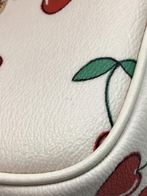 COACH（コーチ）COACH (コーチ) ハンドバッグ ホワイト×レッドの古着・服飾アイテム