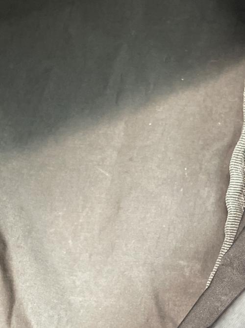 amiacalva（アミアカルヴァ）amiacalva (アミアカルヴァ) リュック ライトグレーの古着・服飾アイテム