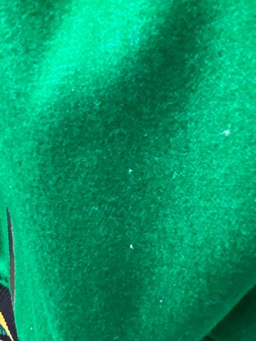 Coogi（クージー）Coogi (クージー) スタジャン グリーン×ブラック サイズ:Ｌの古着・服飾アイテム