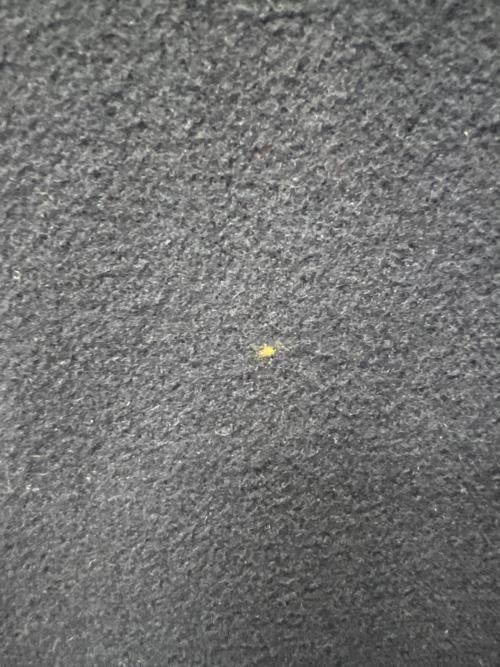 Burberry's（バーバリーズ）Burberry's (バーバリーズ) リバーシブルウールコート ネイビー サイズ:Ｌの古着・服飾アイテム