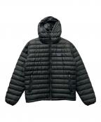 Patagoniaパタゴニア）の古着「ダウンセーターフルジップフーディー」｜グレー