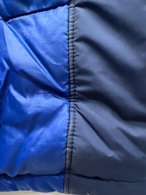 Patagonia（パタゴニア）Patagonia (パタゴニア) DAS PARKA ブルー サイズ:Ｌの古着・服飾アイテム