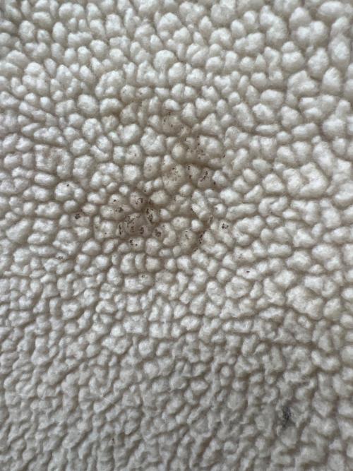 Patagonia（パタゴニア）Patagonia (パタゴニア) RETRO-X JACKET ベージュ×ピンク サイズ:Ｌの古着・服飾アイテム