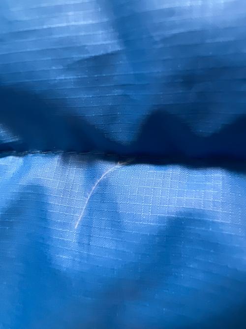 Patagonia（パタゴニア）Patagonia (パタゴニア) グースダウンベスト ブルー サイズ:Mの古着・服飾アイテム