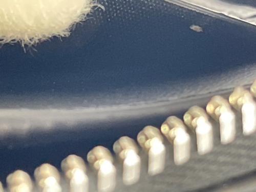 BOTTEGA VENETA（ボッテガベネタ）BOTTEGA VENETA (ボッテガベネタ) 2つ折り財布 ブラックの古着・服飾アイテム