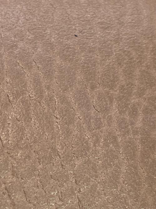 GUCCI（グッチ）GUCCI (グッチ) キーケース ベージュ サイズ:-の古着・服飾アイテム