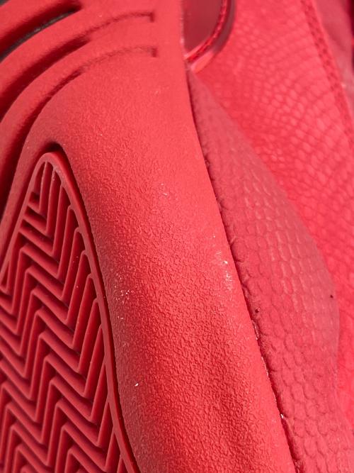 NIKE（ナイキ）NIKE (ナイキ) Air Jordan 12 Retro レッド サイズ:cm28の古着・服飾アイテム