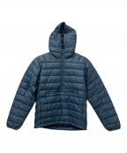Patagoniaパタゴニア）の古着「Down Sweater Pullover Hoody」｜ブルー