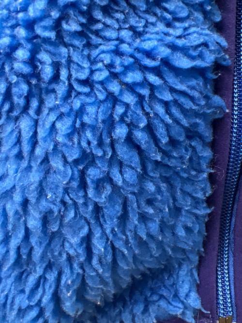 Patagonia（パタゴニア）Patagonia (パタゴニア) フリースジャケット ブルー サイズ:Ｓの古着・服飾アイテム