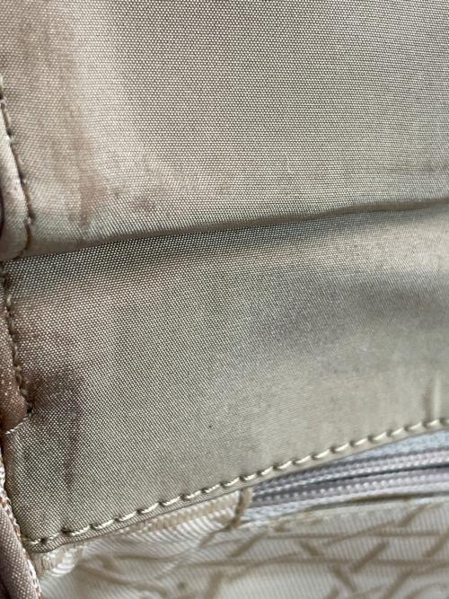 Christian Dior（クリスチャン ディオール）Christian Dior (クリスチャン ディオール) ハンドバッグ ベージュの古着・服飾アイテム