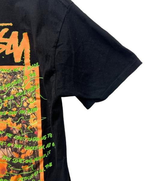 stussy（ステューシー）stussy (ステューシー) 半袖カットソー ブラック サイズ:Mの古着・服飾アイテム