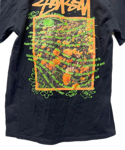 stussy（ステューシー）stussy (ステューシー) 半袖カットソー ブラック サイズ:Mの古着・服飾アイテム