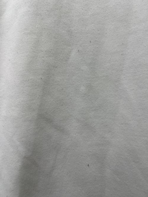 POLO RALPH LAUREN（ポロ・ラルフローレン）POLO RALPH LAUREN (ポロ・ラルフローレン) スウェット ホワイト サイズ:Ｓの古着・服飾アイテム