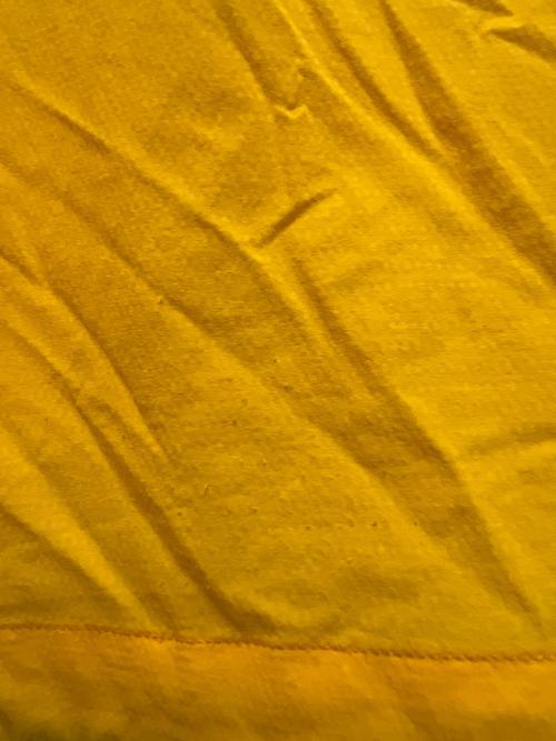 ARC'TERYX（アークテリクス）ARC'TERYX (アークテリクス) ナイロンジャケット イエロー サイズ:Ｓの古着・服飾アイテム
