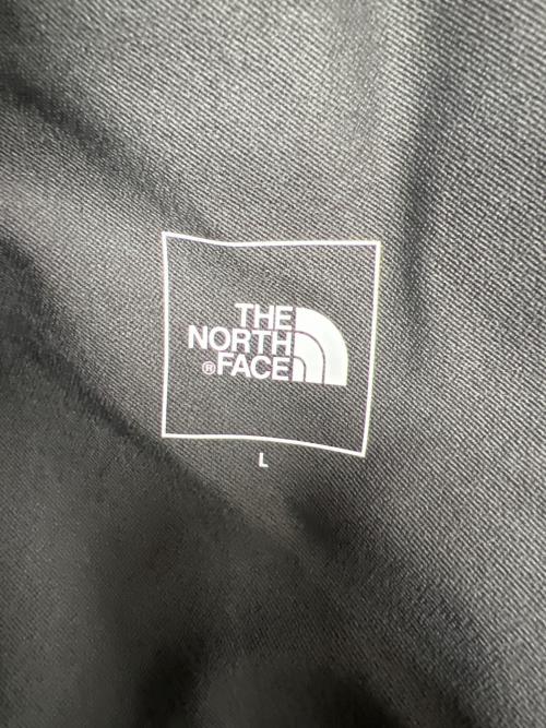 THE NORTH FACE（ザ ノース フェイス）THE NORTH FACE (ザ ノース フェイス) アルパインライトパンツ グレー サイズ:Ｌの古着・服飾アイテム